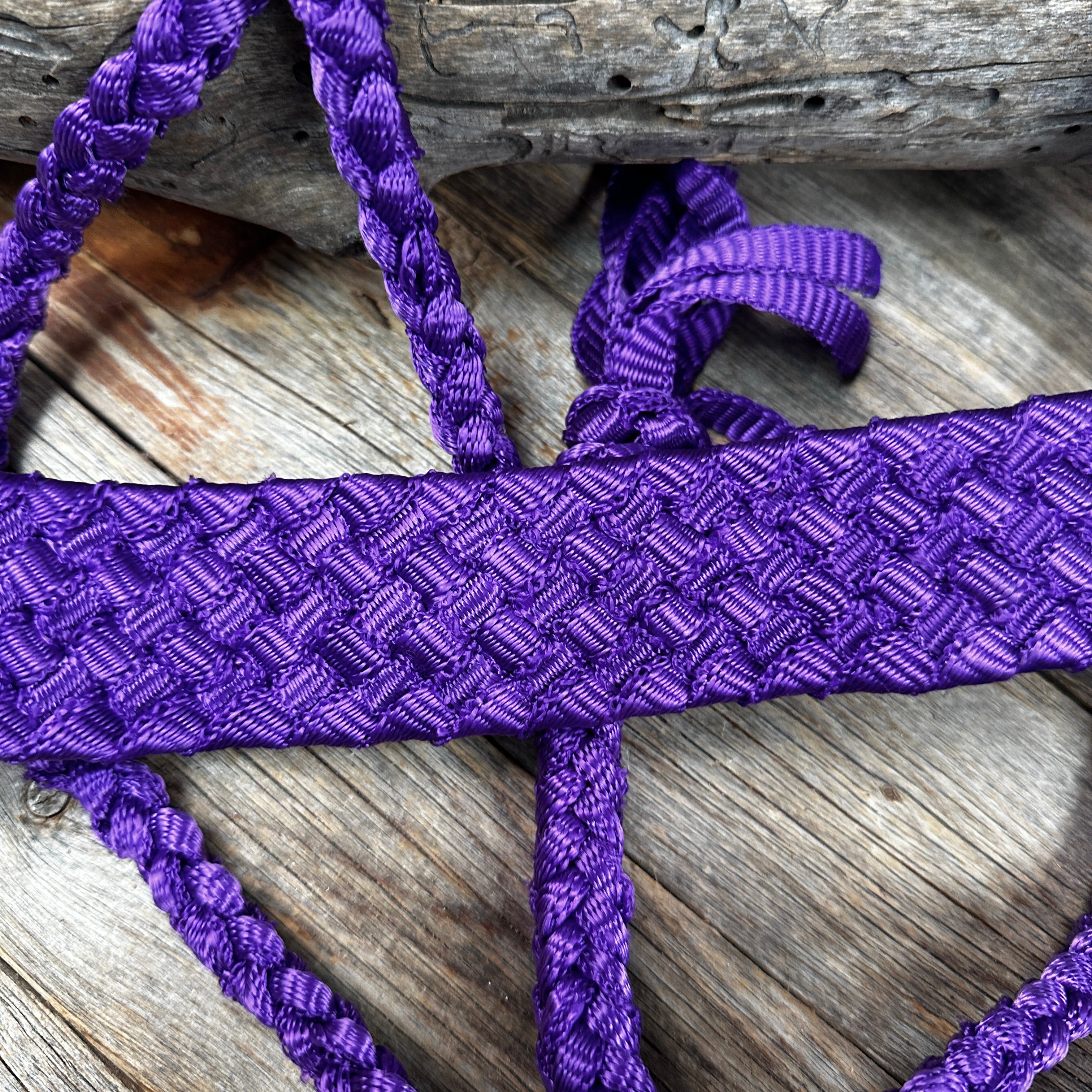 Purple Flat Braided Mule Tape Halter