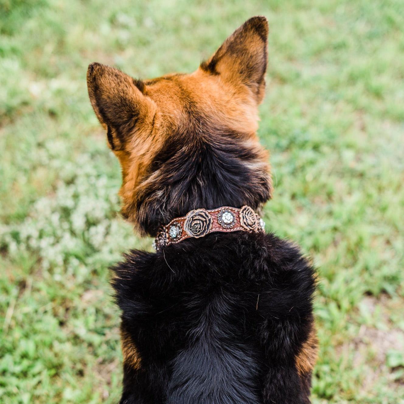 DC30Copper Rose Dog Collar With Clear European Crystals - RODEO DRIVE