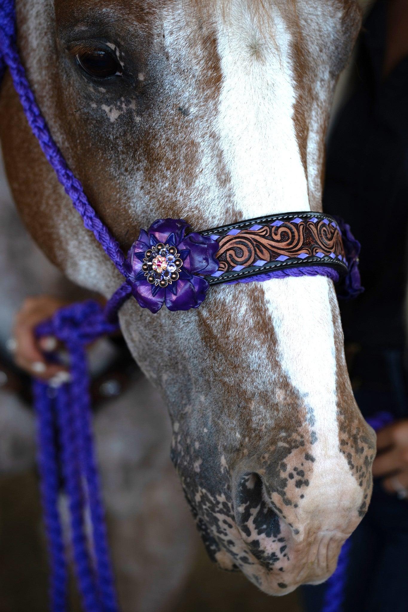 Purple Mule Tape Halter - Purple Gardenia #MT207 - RODEO DRIVE