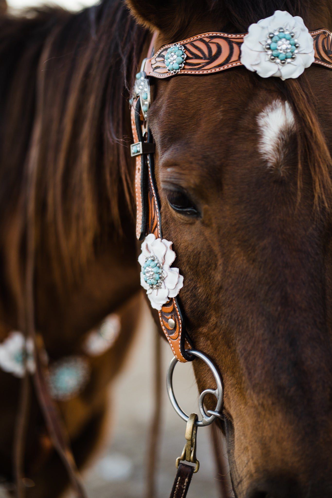 Zebra Turquoise and White Browband / Breastcollar Tack Set #BBBC536