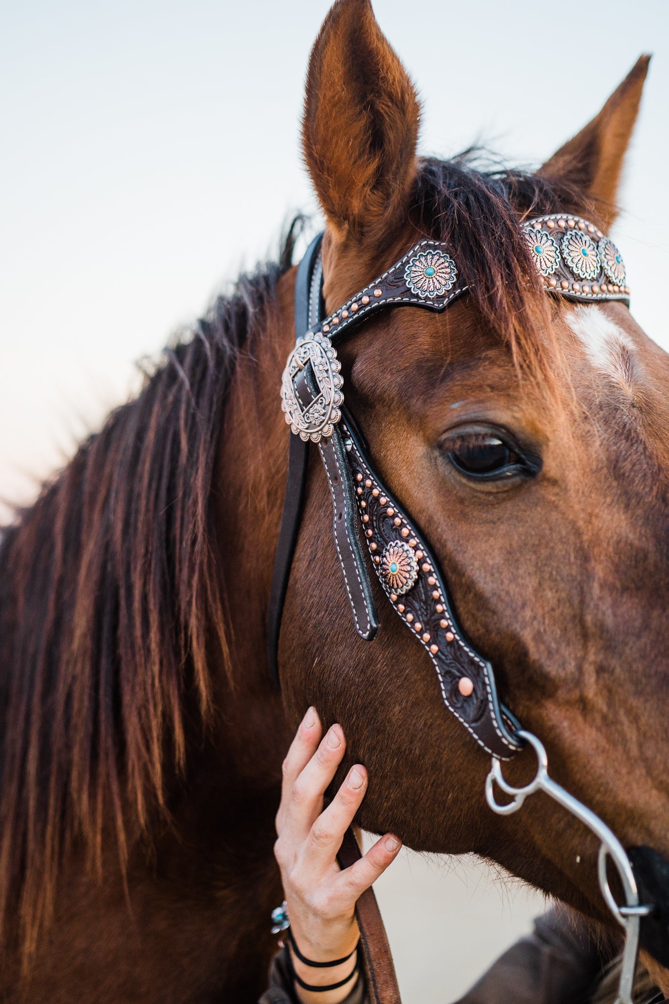 Dark Oil Floral Copper Dot & Turquoise Browband Headstall / Breastcollar Tack Set #BBBC535