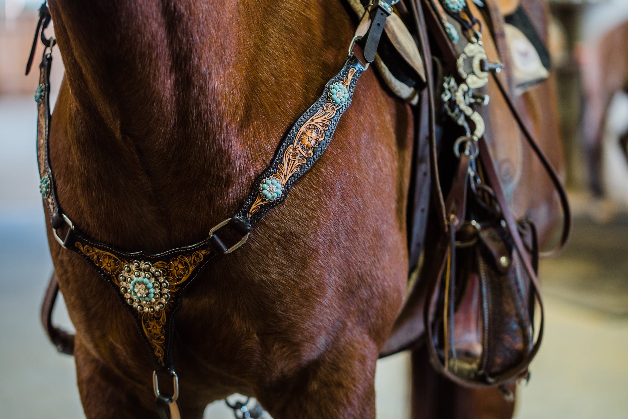 Custom tack for horses, custom dog collars and wild rags – RODEO DRIVE