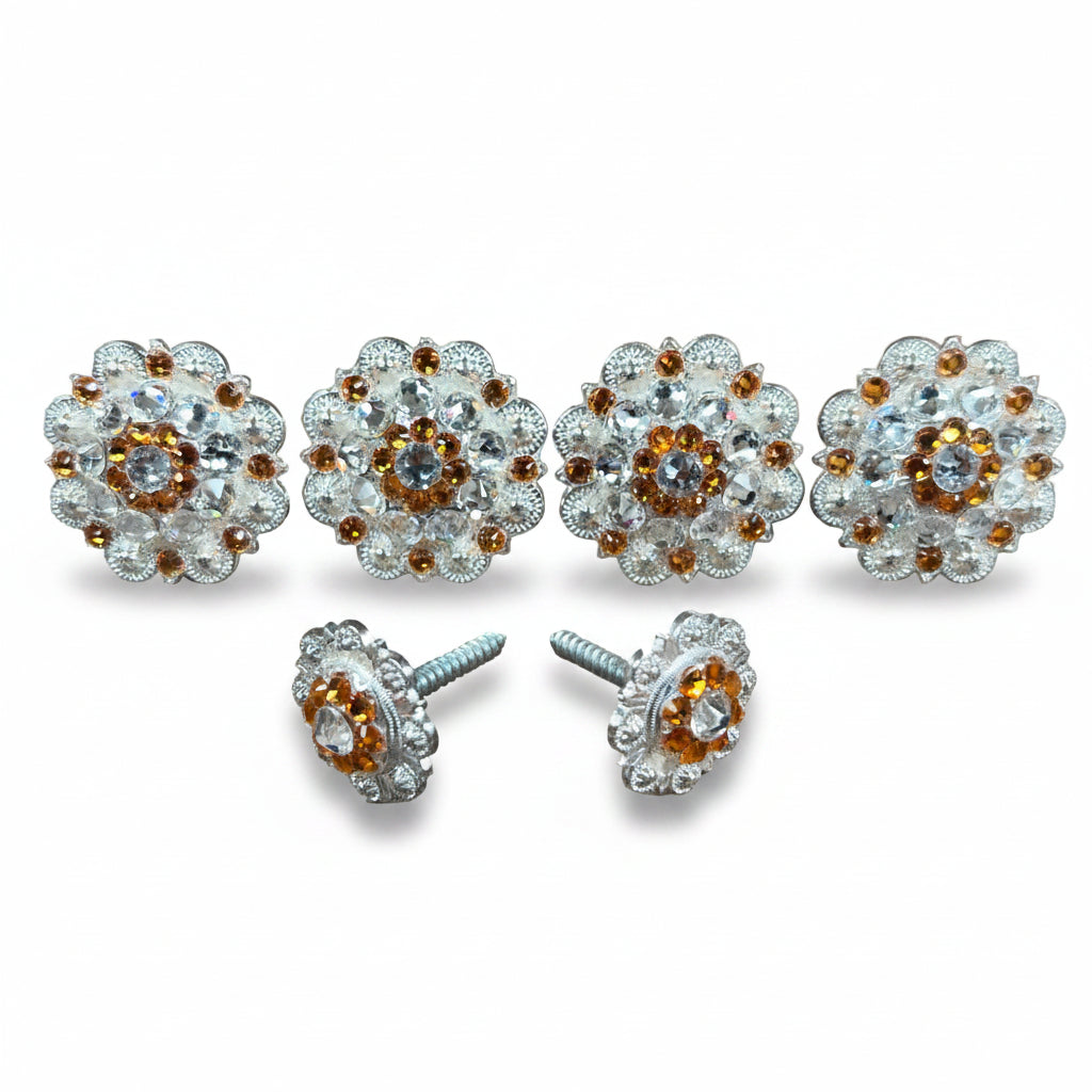 Bright Silver Golden & Clear Saddle Conchos