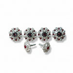 Bright Silver Ruby Jet & Clear Saddle Conchos