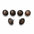 Copper Star Western Concho W175