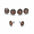 Copper Dots Western Concho W184