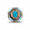Octagon Turquoise Floral Western Concho W221