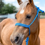 Blue Mule Tape Halter