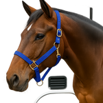 Blue Nylon Horse Halter NHBLUE