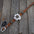 DC23 -Light Oil Genuine Leather Dog Collar - White Flower & Copper Conchos 10"-22"