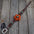 DC27 -Medium Oil Genuine Leather Dog Collar - Orange Flower & Copper Conchos 10" to 22"