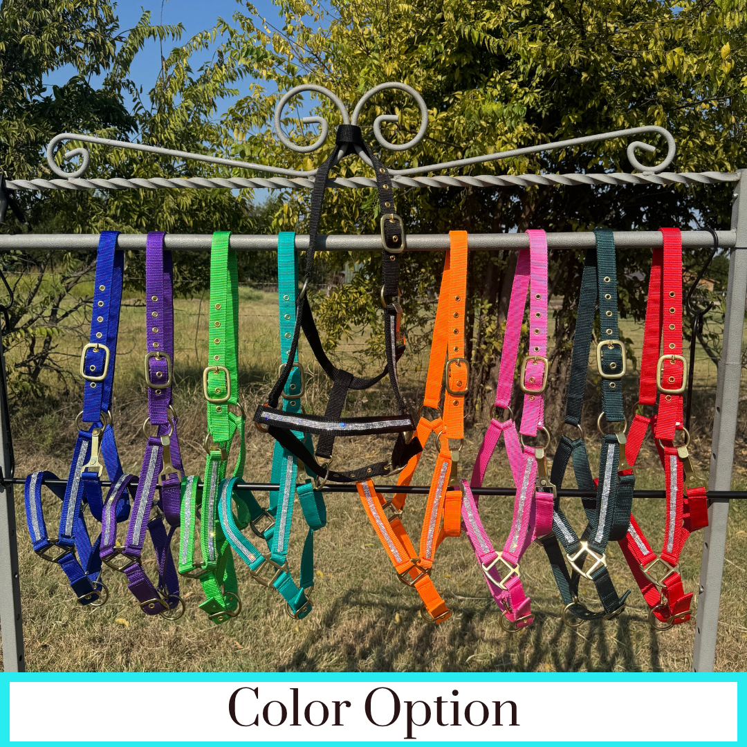 Bling Nylon Horse Halter - Assorted Colors