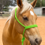 Lime Mule Tape Halter