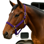 Purple Nylon Horse Halter NHPUR