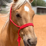Mule Tape Halters - Assorted Colors-