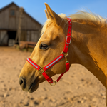 Red Bling Nylon Horse Halter BNHRED