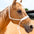 Mule Tape Halters - Assorted Colors-