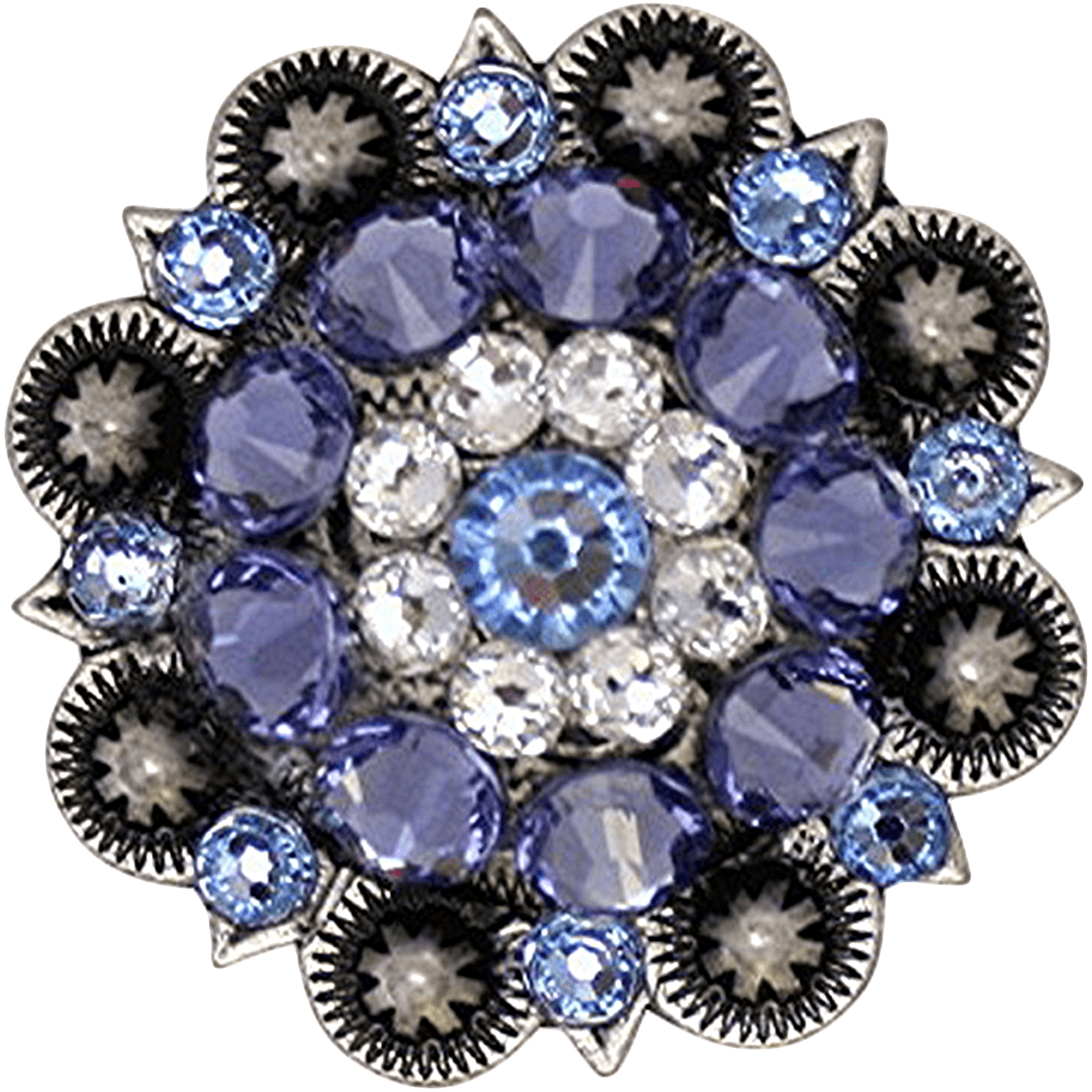 ANTIQUE SILVER LIGHT SAPPHIRE - CLEAR - LILAC - RODEO DRIVE
