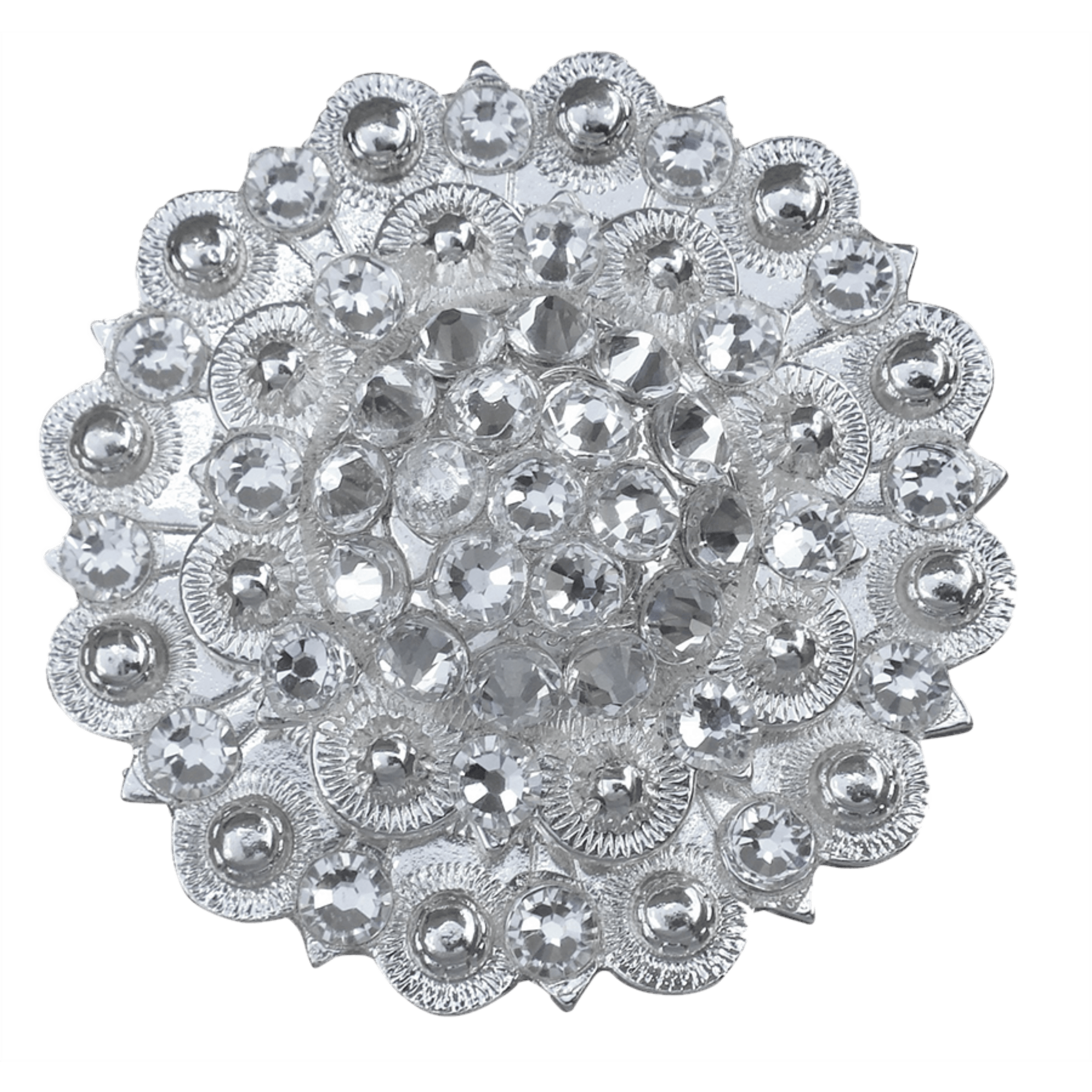 Bright Silver Clear - RODEO DRIVE