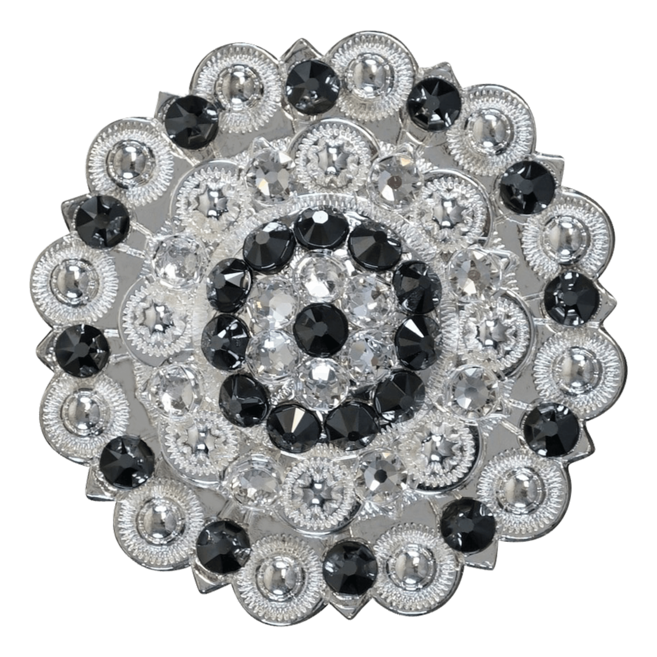 Bright Silver Jet & Clear - RODEO DRIVE