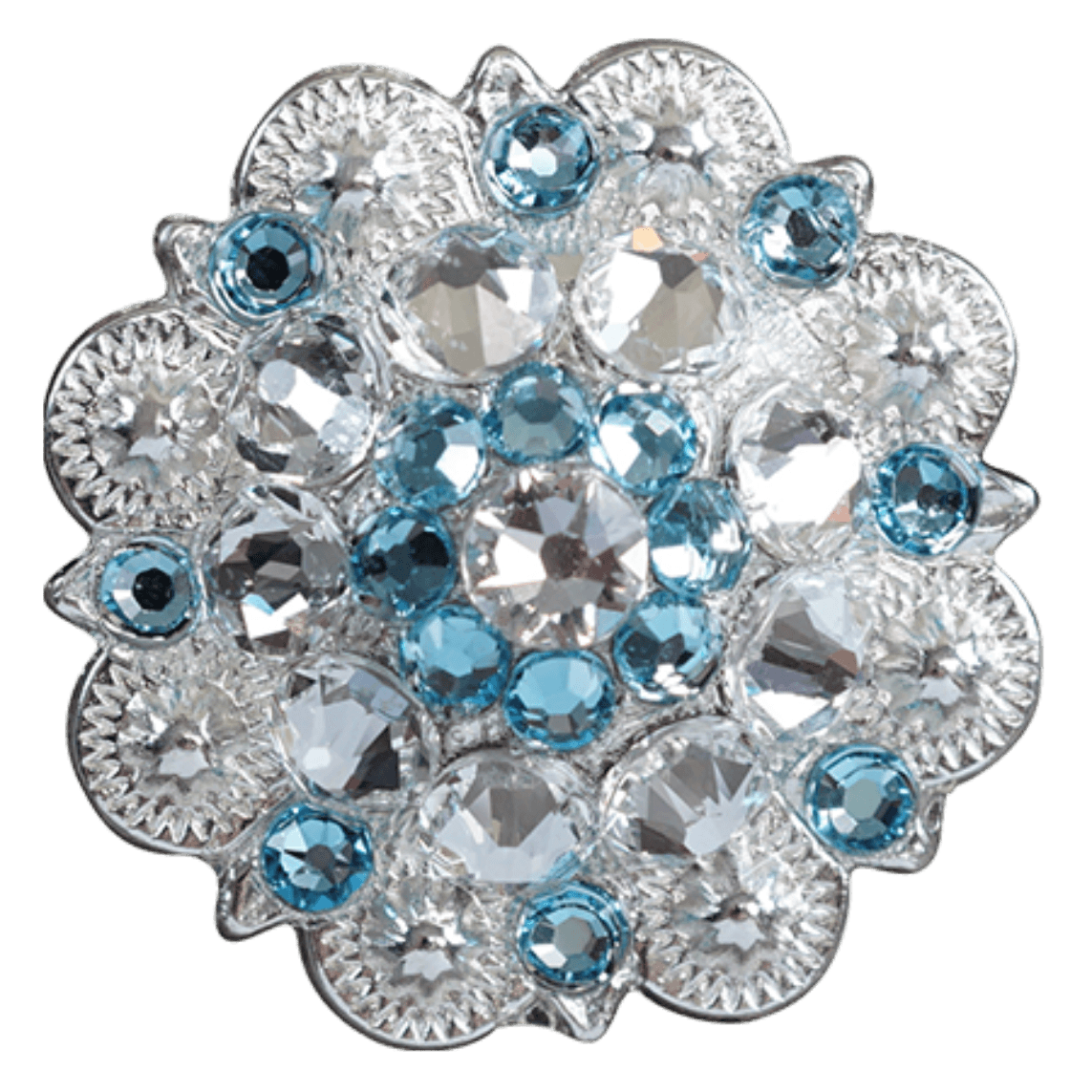 Bright Silver Aqua & Clear - RODEO DRIVE