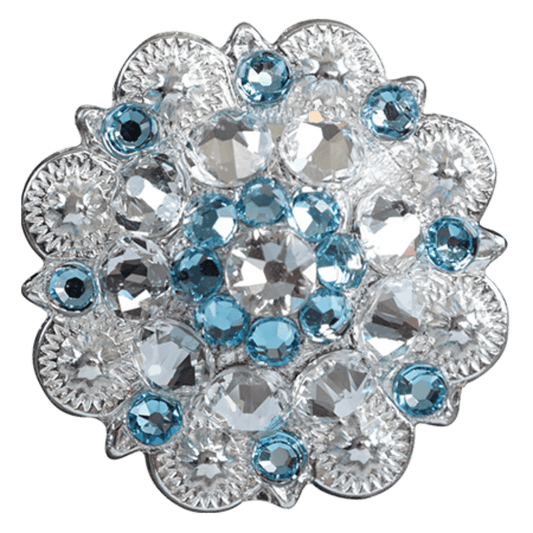 Bright Silver Aqua & Clear - RODEO DRIVE