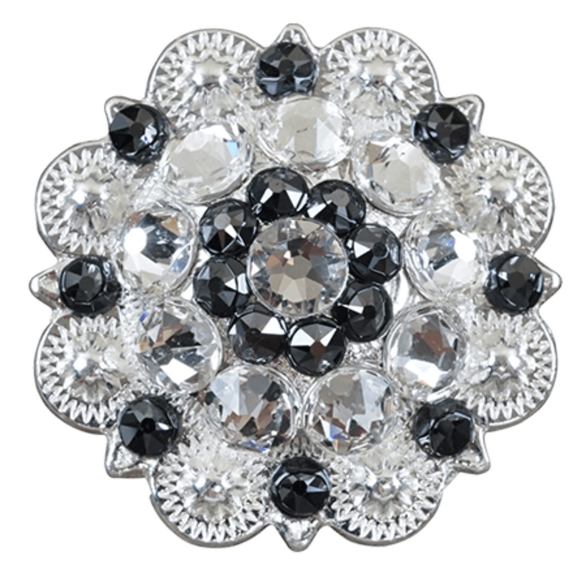 Bright Silver Jet & Clear - RODEO DRIVE