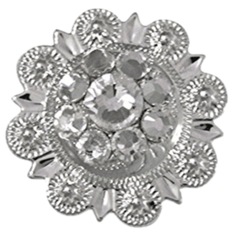 Bright Silver Clear - RODEO DRIVE