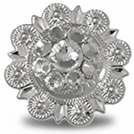 Bright Silver Clear - RODEO DRIVE