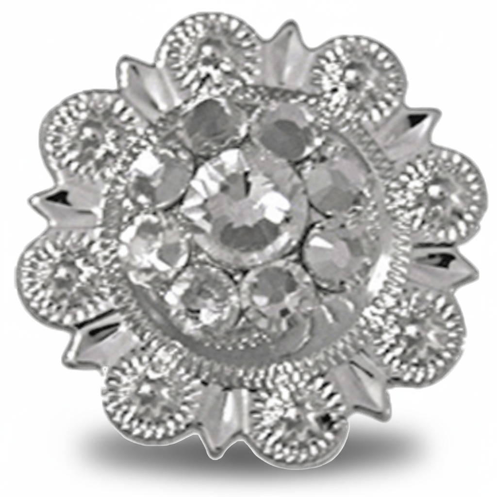 Bright Silver Clear - RODEO DRIVE