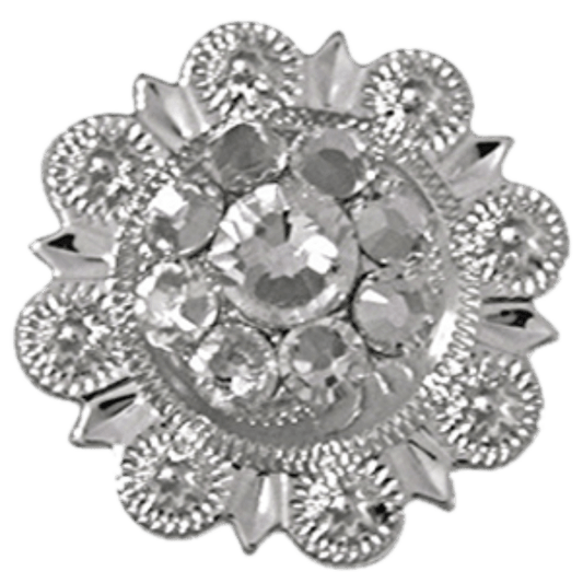 Bright Silver Clear - RODEO DRIVE