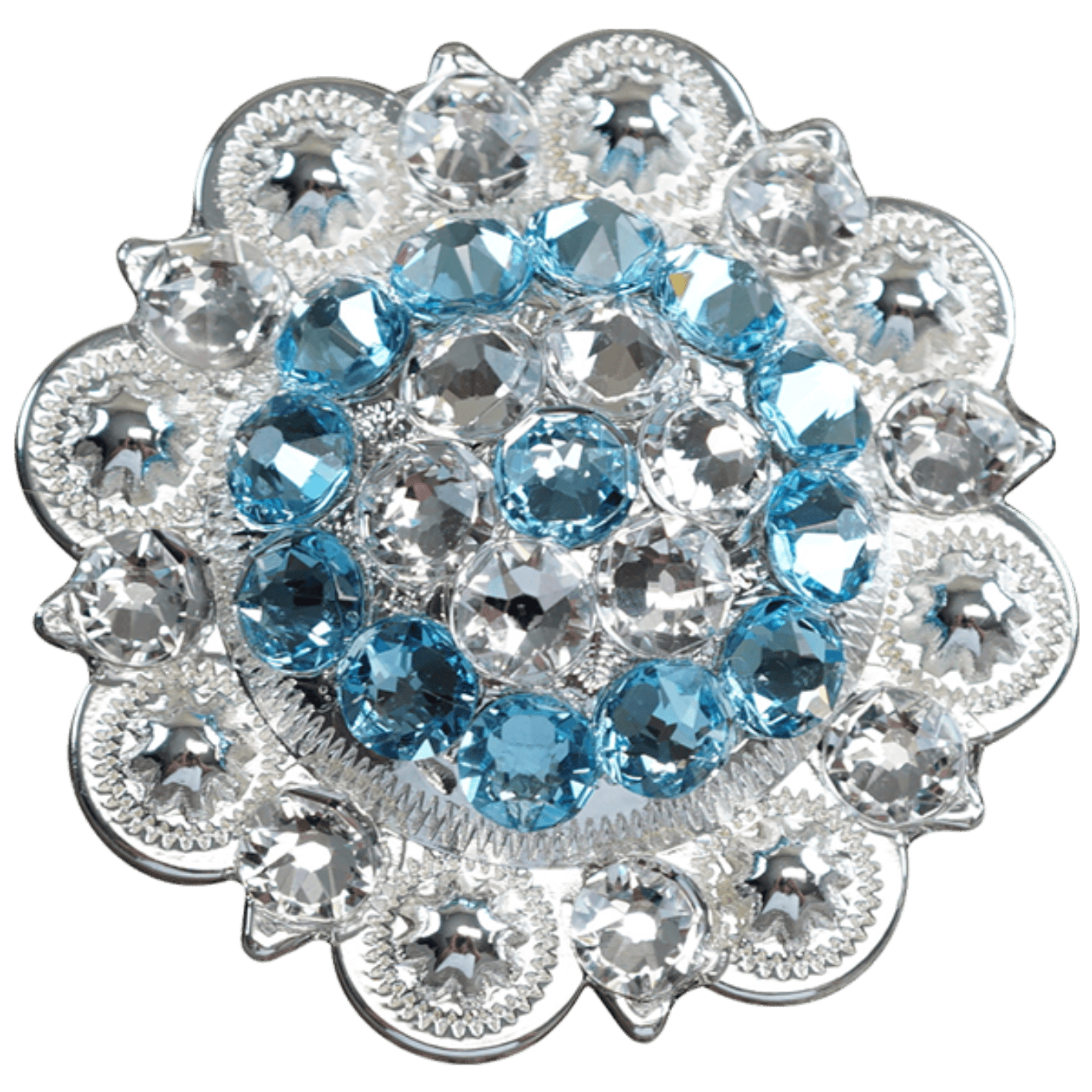 Bright Silver Aqua & Clear - RODEO DRIVE