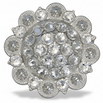 Bright Silver Clear - RODEO DRIVE