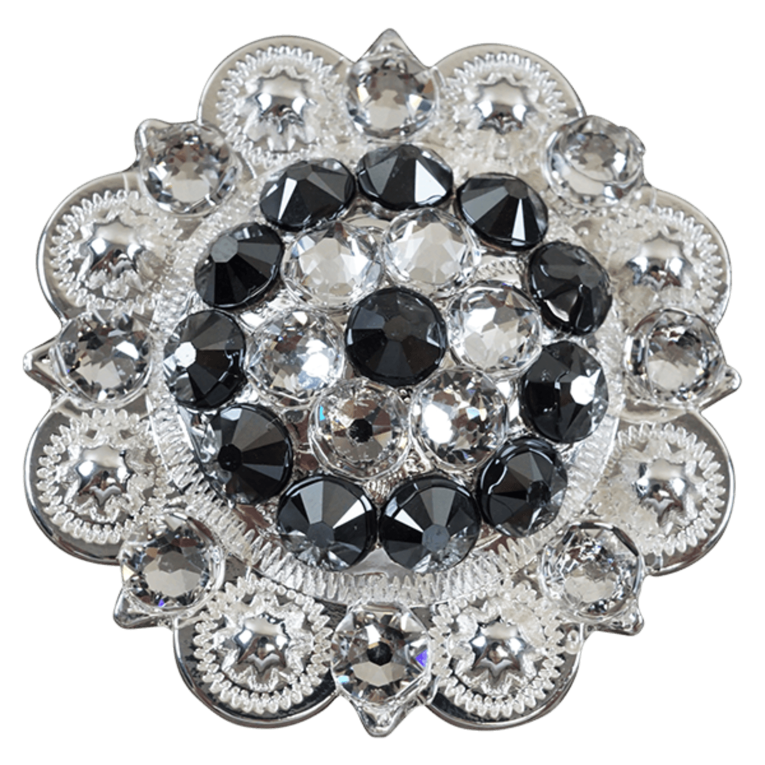 Bright Silver Jet & Clear - RODEO DRIVE