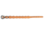 Light Oil Basketweave Dog Collar - RODEO DRIVE