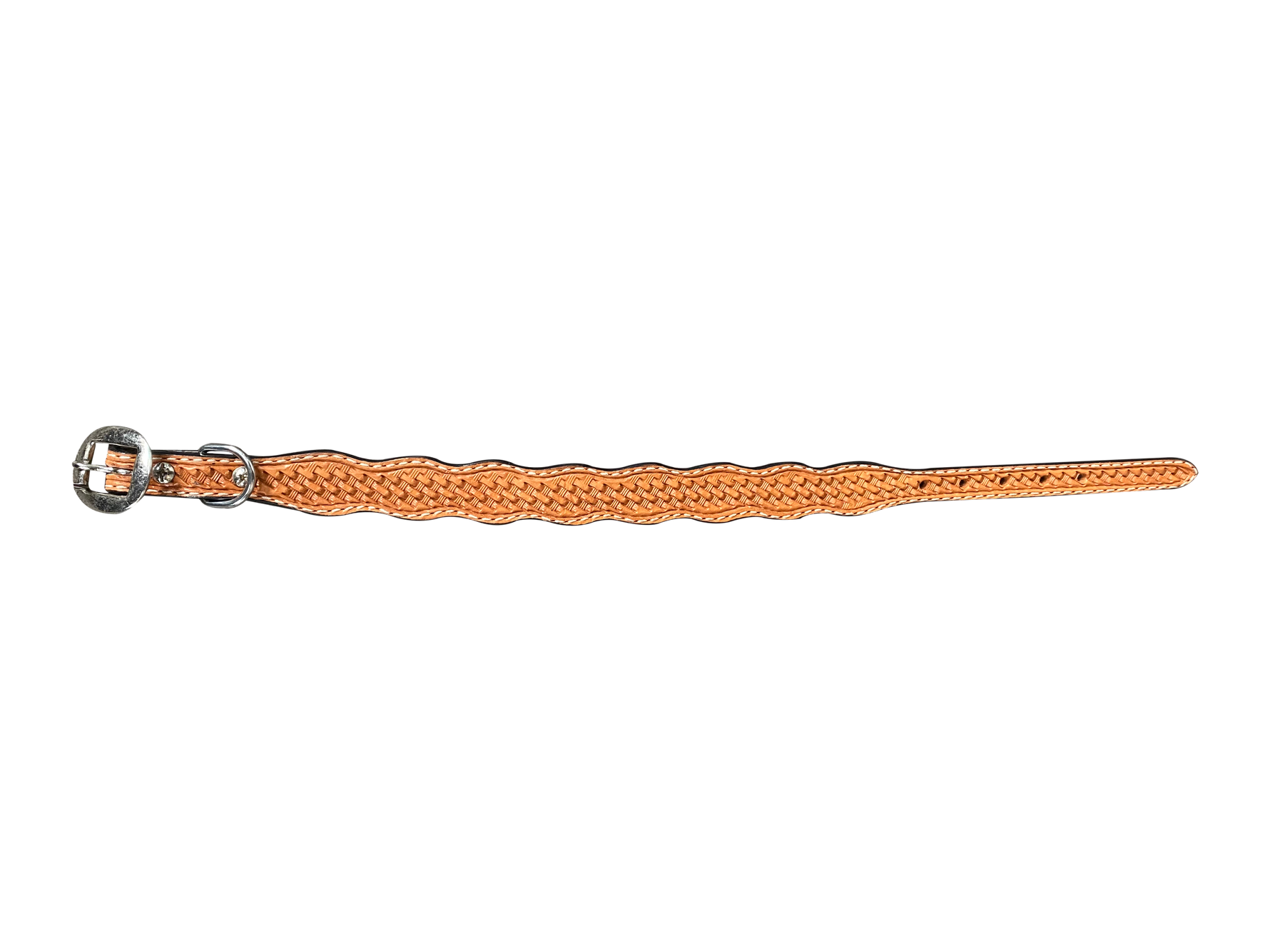 Light Oil Basketweave Dog Collar - RODEO DRIVE