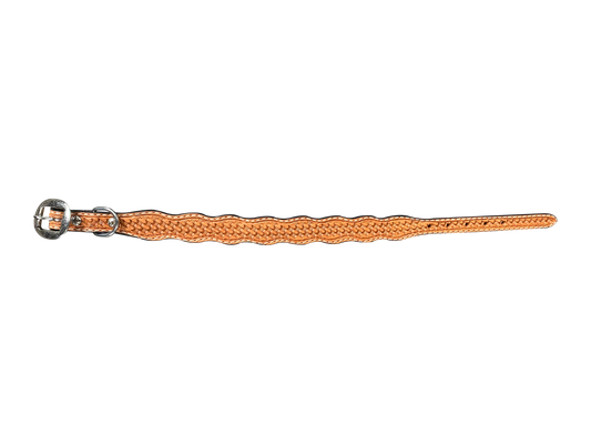 Light Oil Basketweave Dog Collar - RODEO DRIVE
