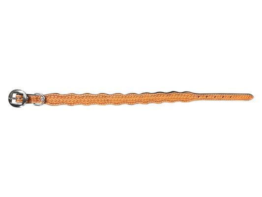 Light Oil Basketweave Dog Collar - RODEO DRIVE