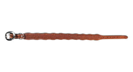 Medium Oil Basketweave Dog Collar - RODEO DRIVE