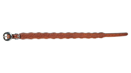 Medium Oil Basketweave Dog Collar - RODEO DRIVE