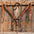 Basketweave - Leaf Scalloped Two Tone Tack Sets - RODEO DRIVE