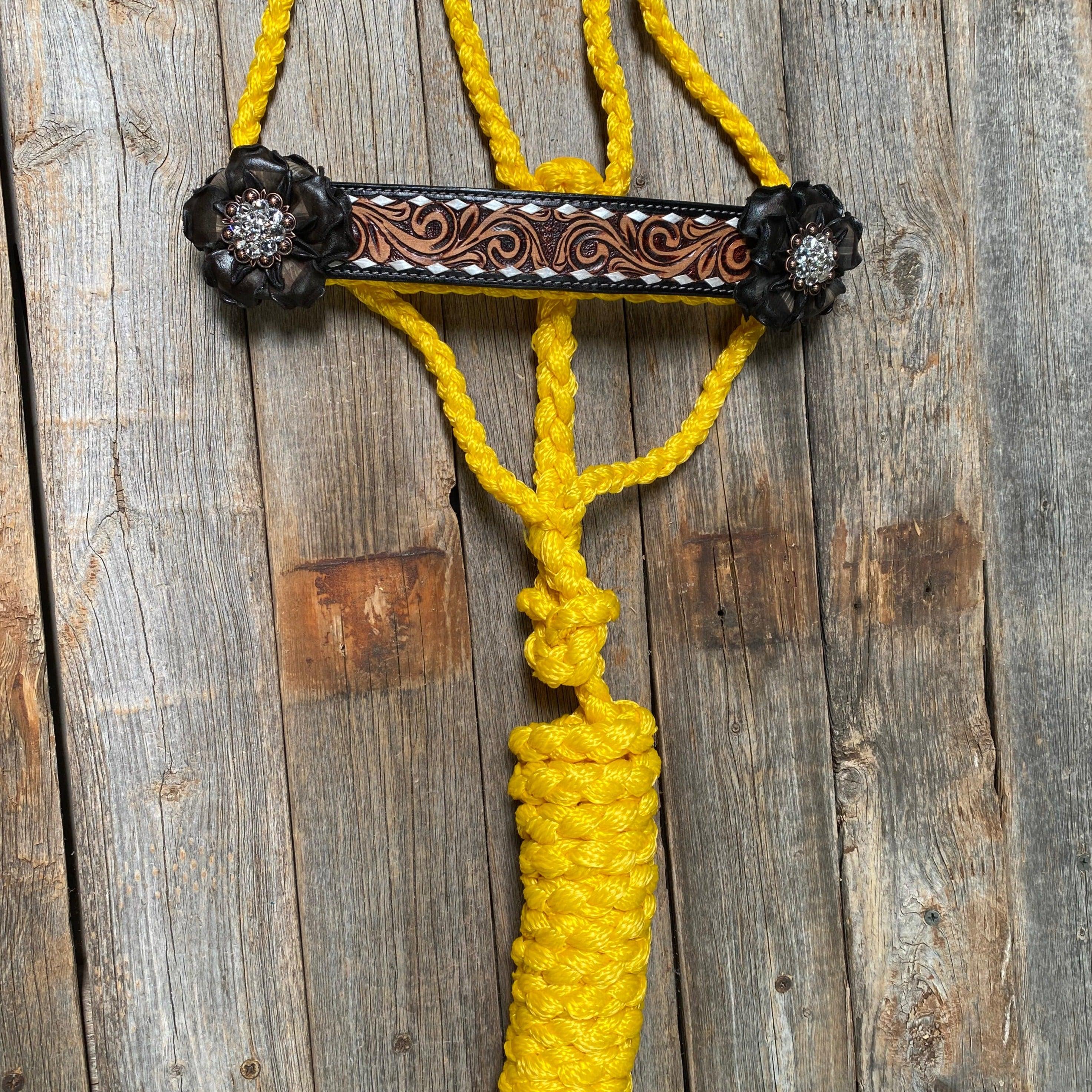 Yellow Mule Tape Halter - Black and Clear #MT201 - RODEO DRIVE