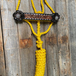 Yellow Mule Tape Halter - Black and Clear #MT201 - RODEO DRIVE