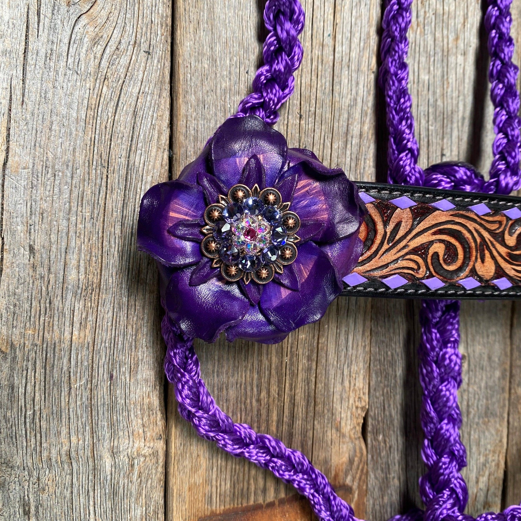 Purple Mule Tape Halter - Purple Gardenia #MT207 - RODEO DRIVE