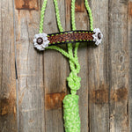Lime Mule Tape Halter - White Flower #MT208 - RODEO DRIVE
