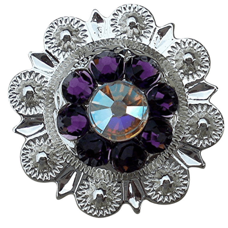 Bright Silver Purple & AB - RODEO DRIVE