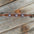 Whipstitch AB Browband/One Ear Tack Set with Wither Strap #BBBC458 - RODEO DRIVE