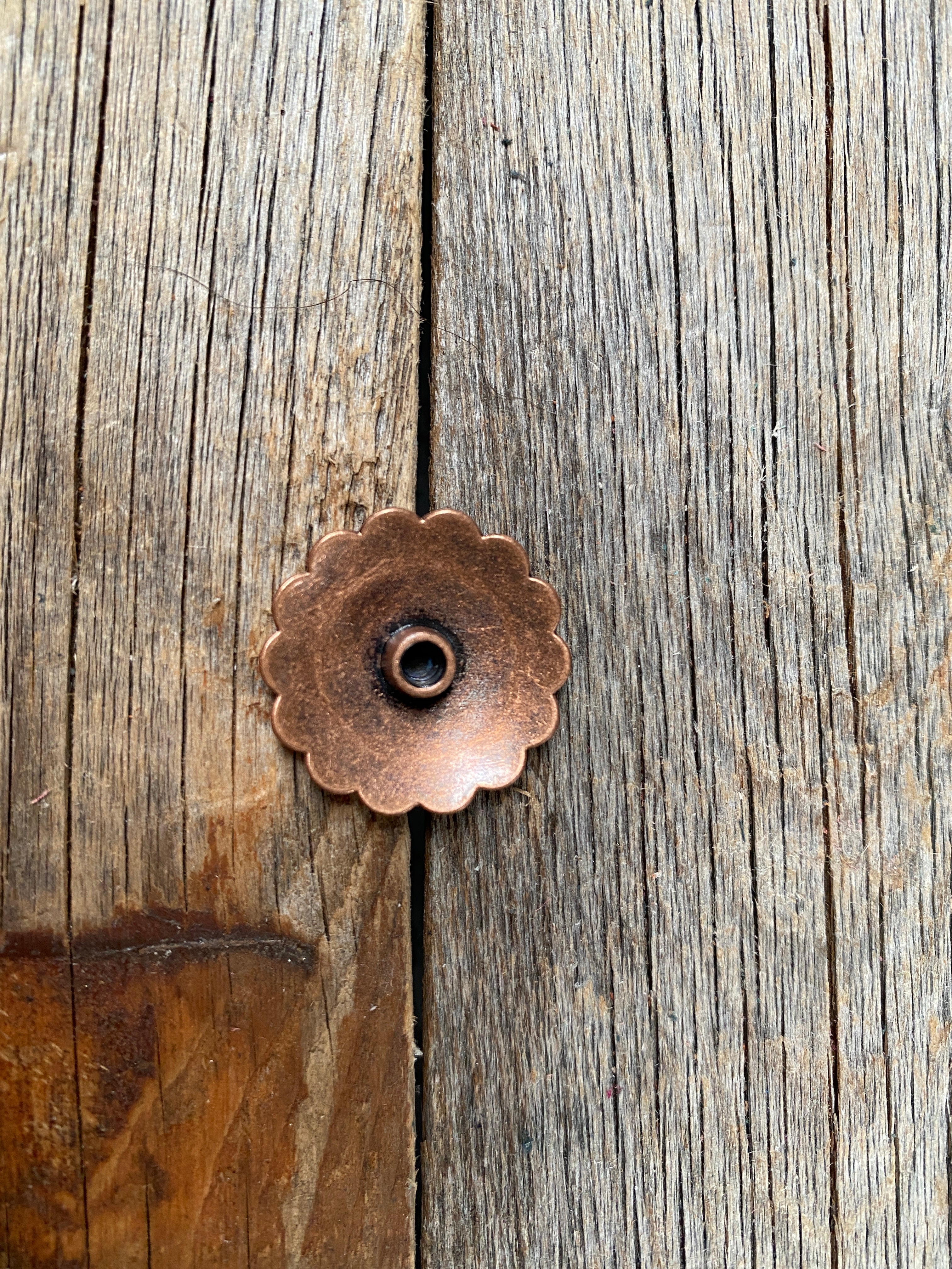 Copper Turquoise Concho 1" W103S - RODEO DRIVE