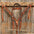 Two Tone Zebra Striped Tack Sets - RODEO DRIVE