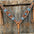 Whipstitch Turquoise & AB Browband/One Ear Tack Set with Wither Strap #BBBC463 - RODEO DRIVE